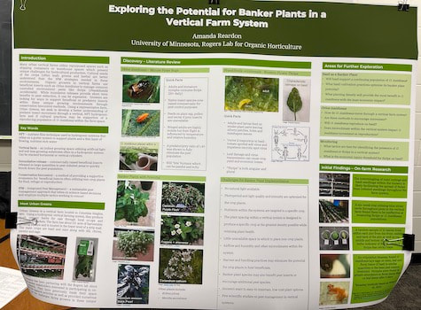 Exploring the Potential for Banker Plants in a Vertical Farm System poster