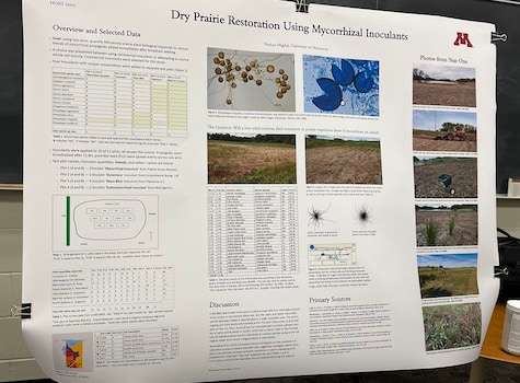 Dry Prairie Restoration Using Mycorrhizal Inoculants poster