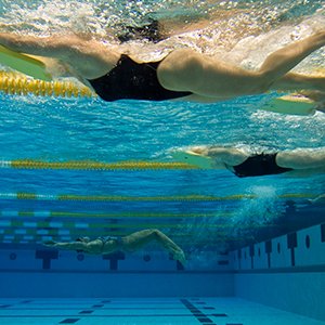 Sports and recreation - swimmers underwater
