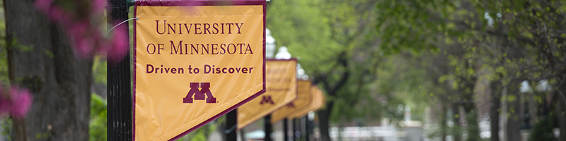 A row of University of Minnesota Driven to Discover Banners on light posts