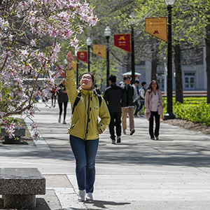 Asian student reaches up to touch a tree in blossom on U of M campus
