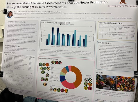 Environmental and Economic Assessment of Local Cut Flower Production through the Trailing of 10 Cut Flower Varieties poster by Sarah B. Anderson 