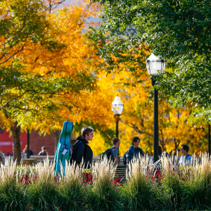 students walk on the East Bank of the UMN Twin Cities on a sunlit autumn day