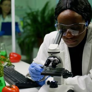 A food scientist looks through a microscope next to herbs and tomatoes
