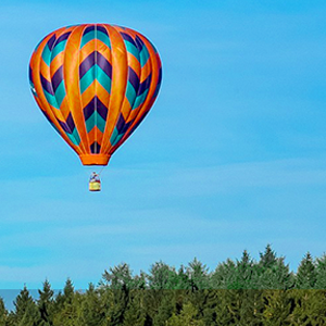 image of a hot air balloon in flight above some pines
