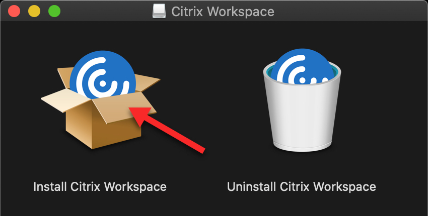Open the file for Citrix Workspace and click on "Install Citrix Workspace"
