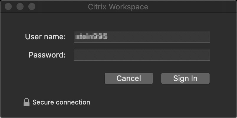 Enter in your UMN username and password to open up Citrix Workspace