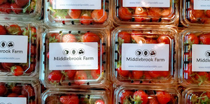 Middlebrook Farm strawberries in packages