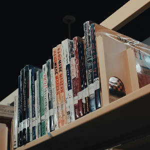 A row of nonfiction books on a library shelf