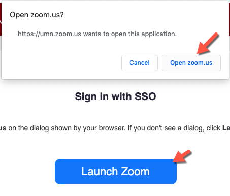 Launch Zoom Open Zoom