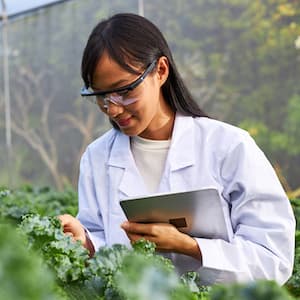 Person wearing a lab coat and goggles inspects a plant