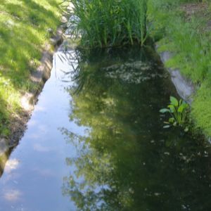 Water collected in a shallow grassy ravine