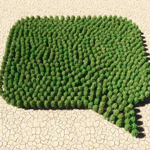 A cluster of trees in a desert in the shape of a speech bubble
