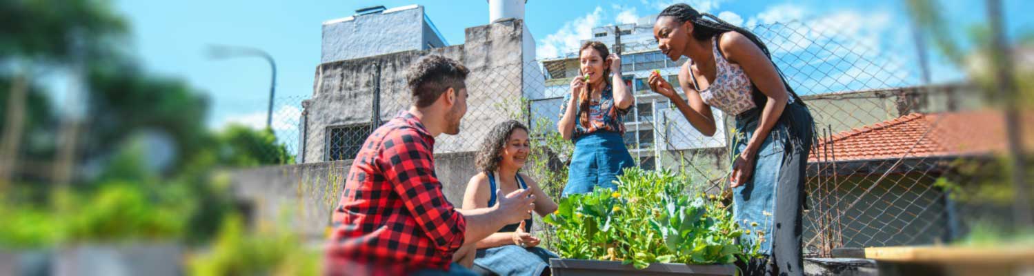 Three people working in a community garden