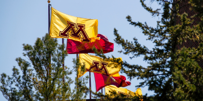 Maroon and gold flags with contrasting "M" symbol flap in the wind among the tops of pine trees
