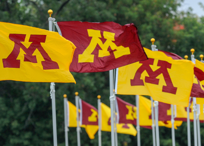 Numerous maroon and gold UMN flags on tall poles wave in the wind in front of a background of green trees