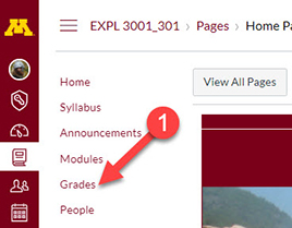 Go to Grades to access your grade book and grade book settings
