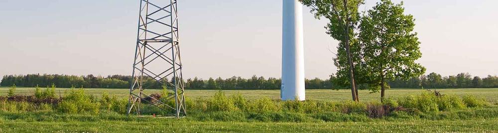 Grassy farmland with wind turbine