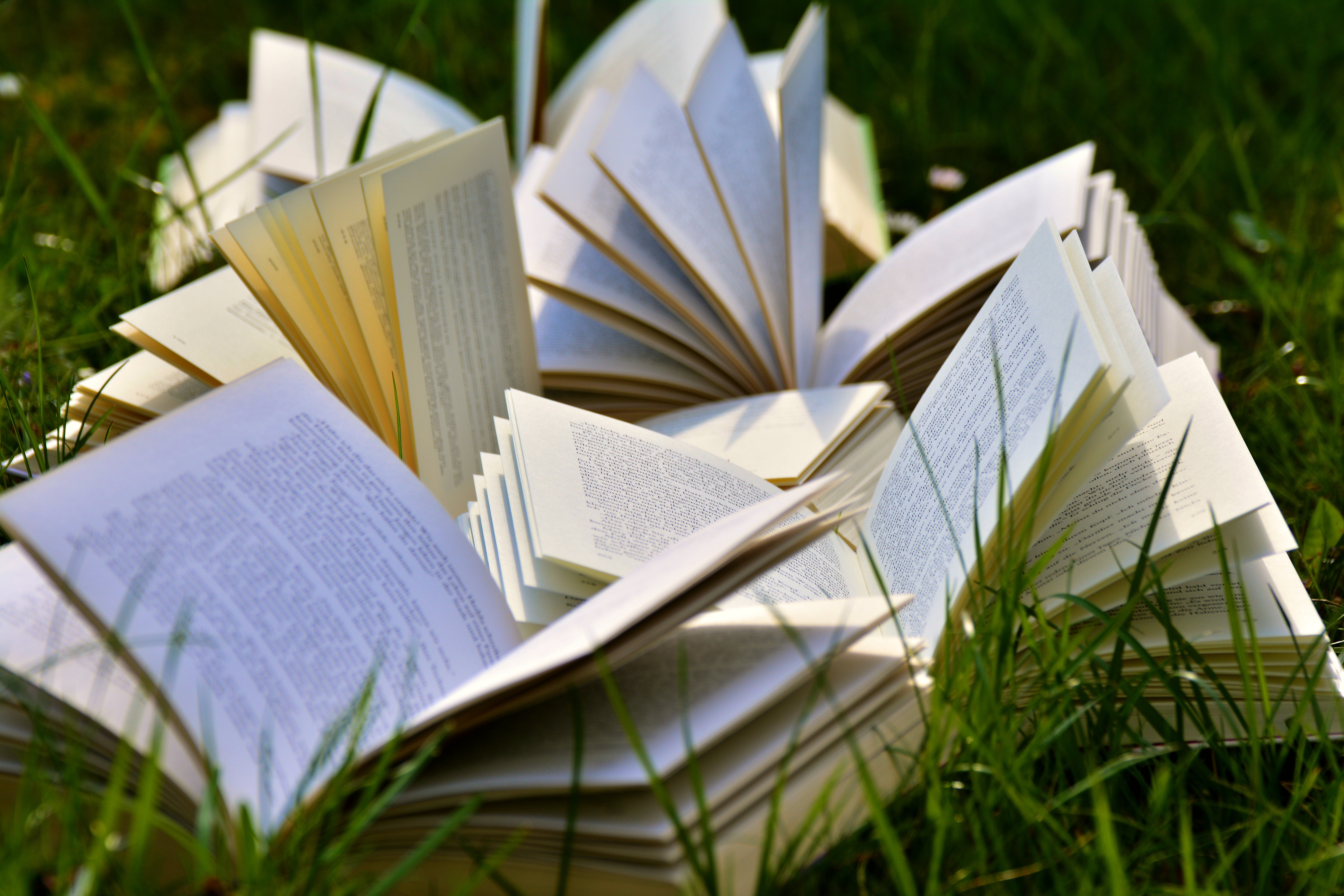 A pile of books in grass