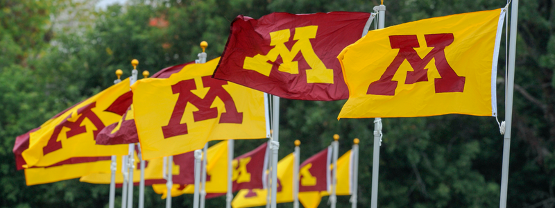 Maroon and gold flags emblazoned with U of M "M" symbols fly in the wind