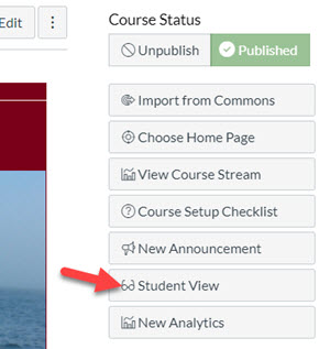 On the top-right of the homepage there is a button for "Student View". Click on it to enter student view mode.