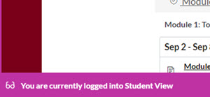 A pink menu bar will appear at the bottom showing that you are in Student View Mode.