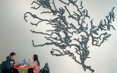 Two students studying in the Weisman Museum beneath an art installation on the wall that resembles a black tree with many branches.