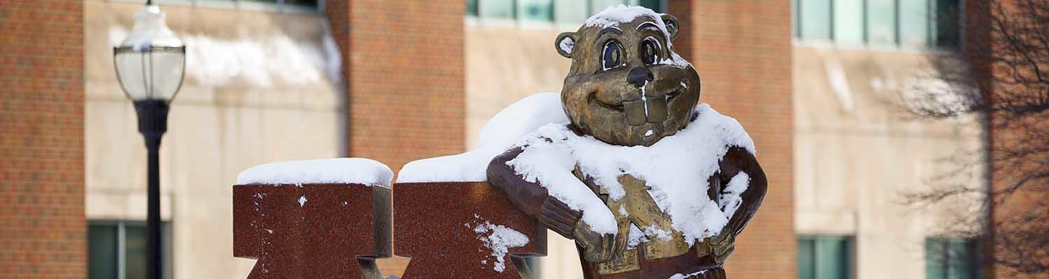 U of M mascot Goldy Gopher leans again a giant maroon marble M with snow blanketing its shoulders