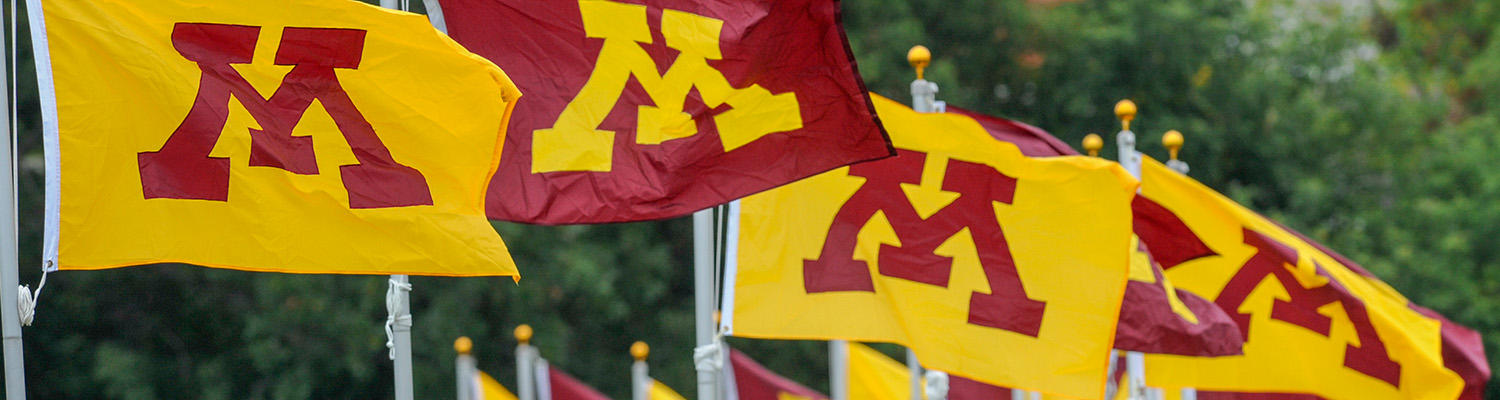 University of Minnesota flags flying in breeze.