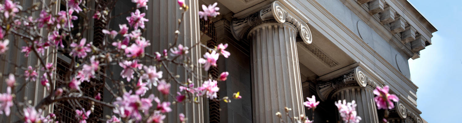 pink flowers blossom in front of University building with pillars in spring