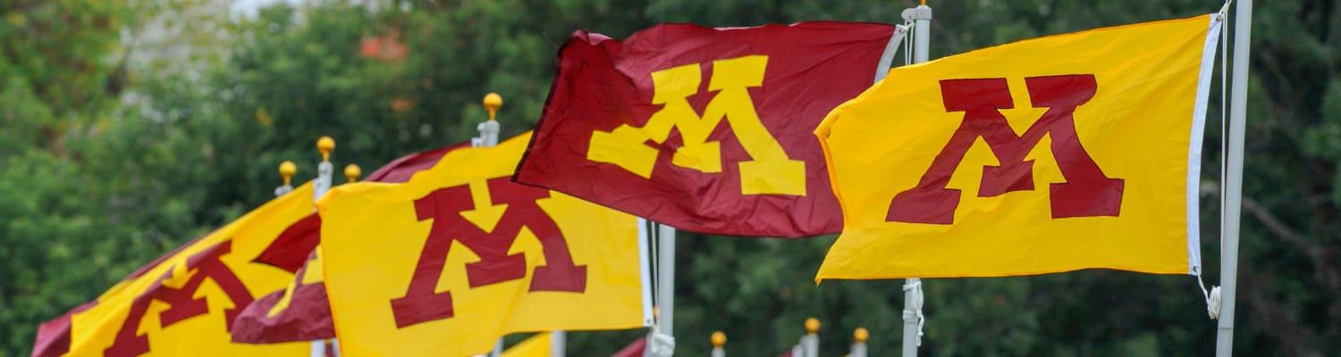 Maroon and gold flags bearing U of M "M" block symbol wave heartily in the breeze