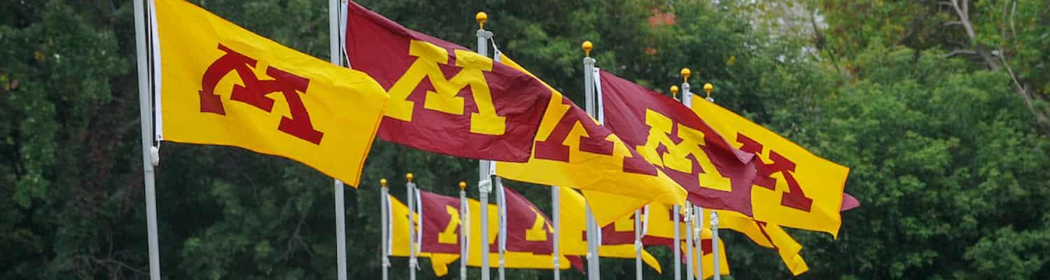 U of M maroon and gold flags