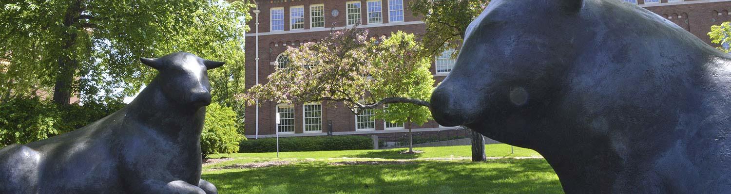 Bull sculptures in front of Coffey Hall resized