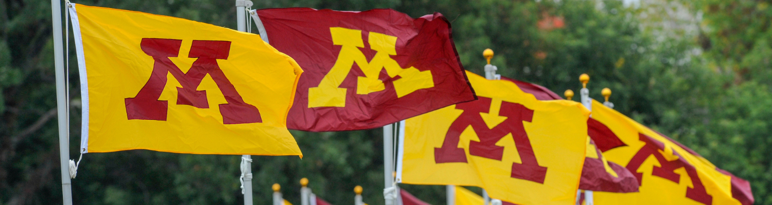 A closeup of multiple UMN flags wave on their respective flagpoles before a background of green trees