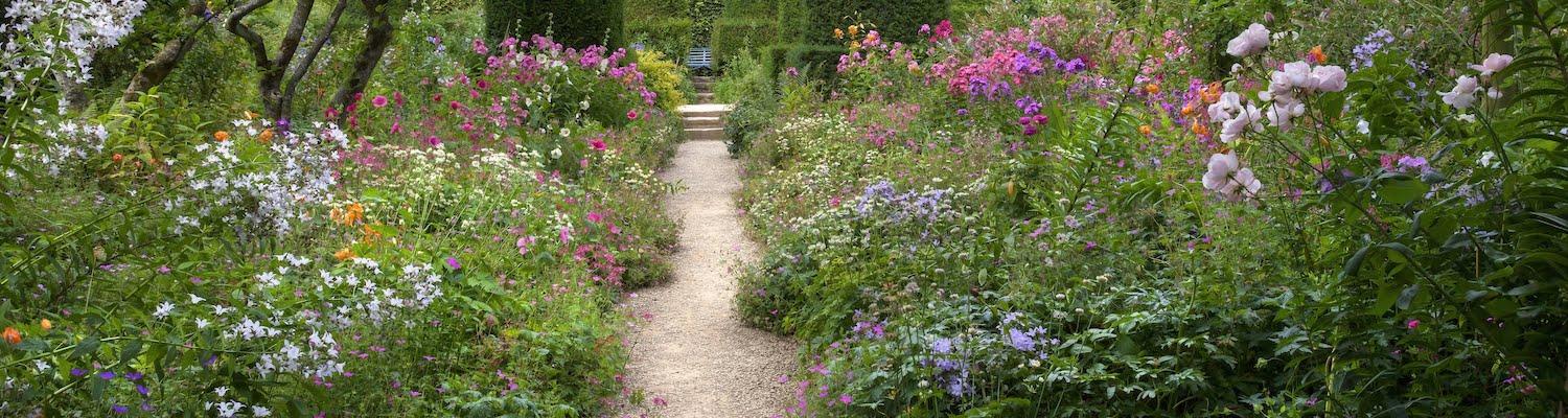 Flowered garden with path